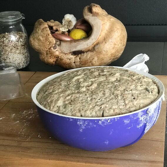 Mehrgetreidebrot, Teig Mehrgetreidebrot, Teig