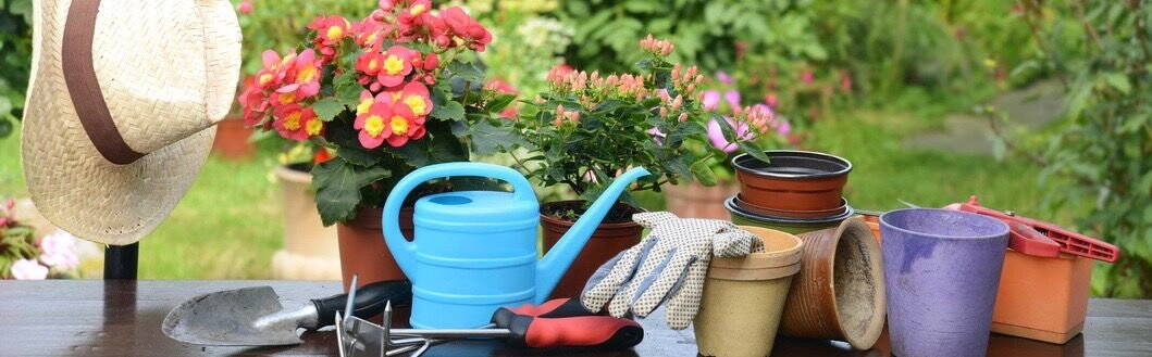 garten_1.jpg garten_1.jpg