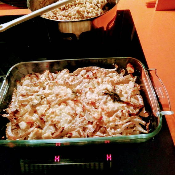 Fenchel-Feta-Gratin, Gratin gebacken Fenchel-Feta-Gratin, Gratin gebacken